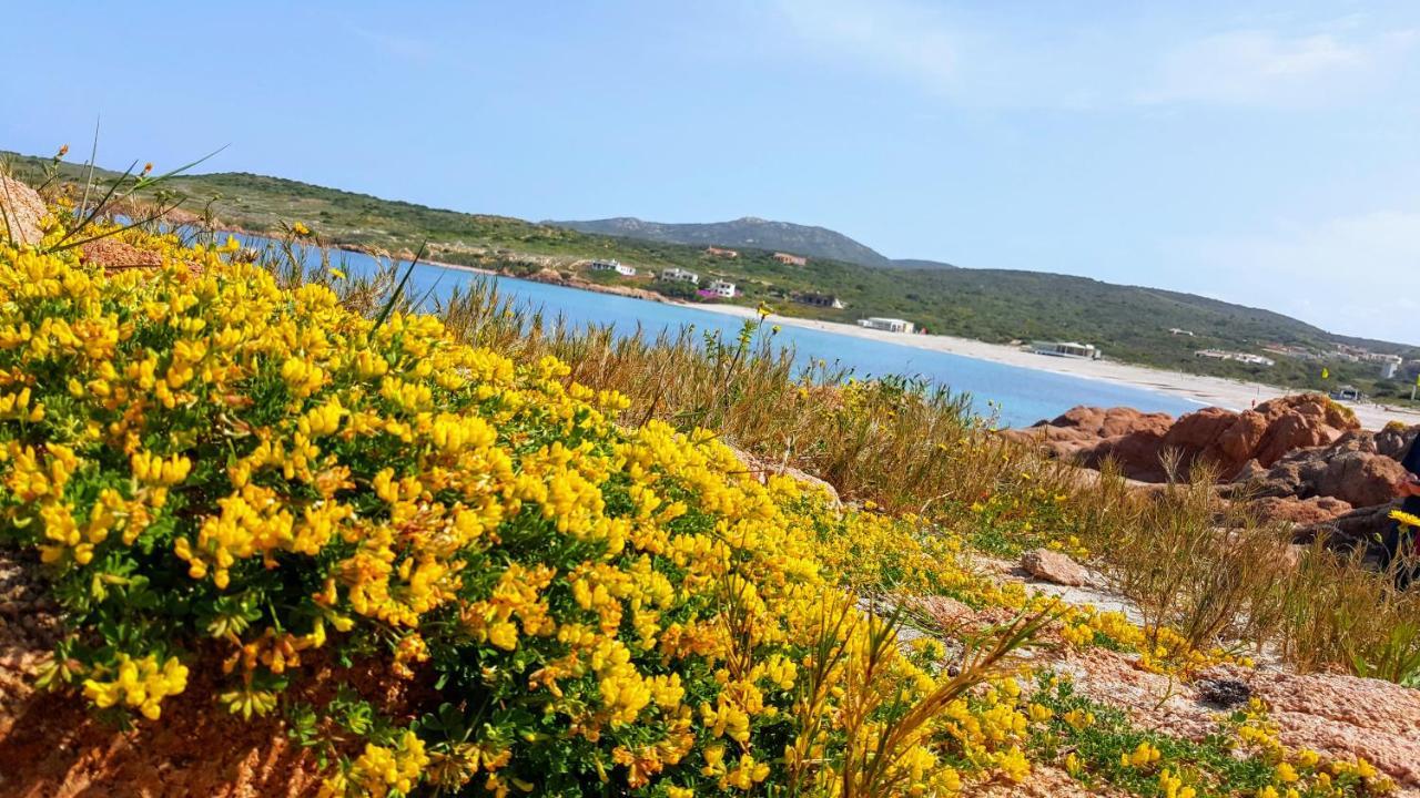 Casa Vacanza Costa Rossa Vista Mare Trinita d'Agultu e Vignola Екстер'єр фото